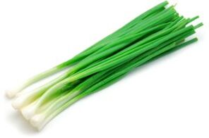 Cipolla